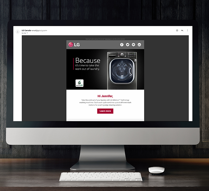 LG Email Segmentation Program, by Jennifer C Digital